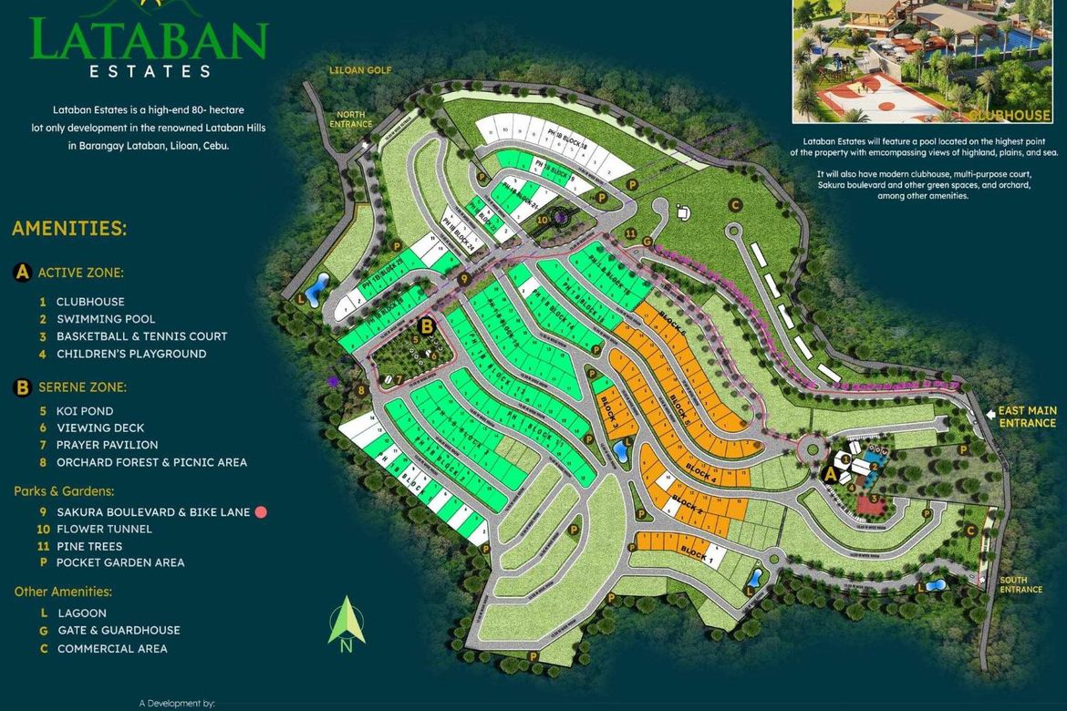 Land for Sale in Lataban, Liloan, Cebu – photo 2