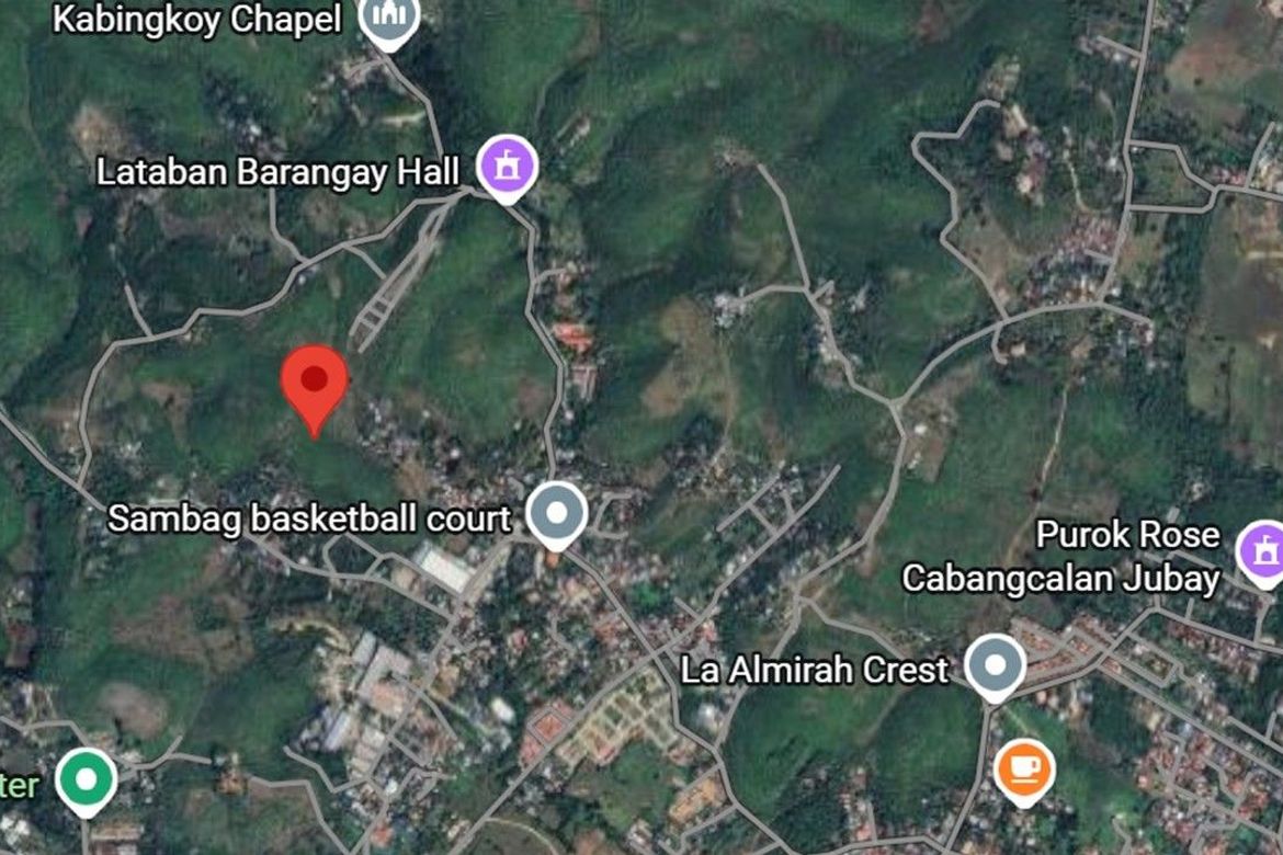 Land for Sale in Lataban, Liloan, Cebu – photo 4