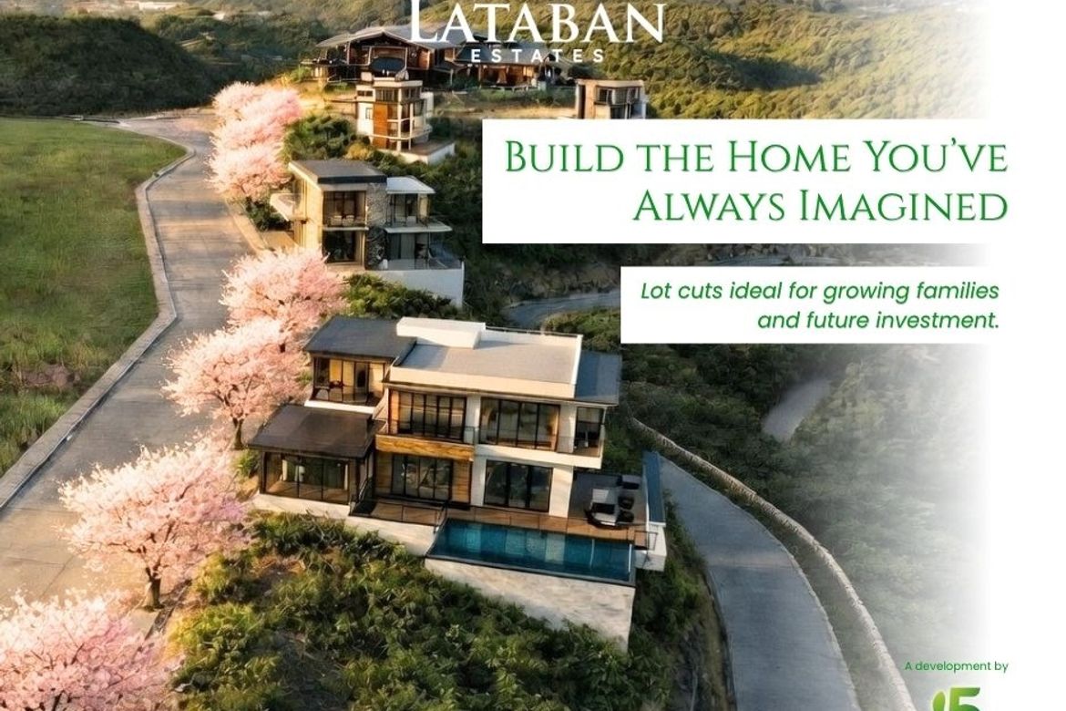 Land for Sale in Lataban, Liloan, Cebu – photo 2