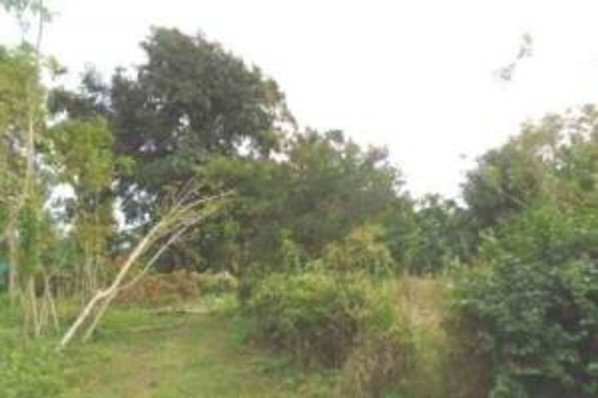 Land for Sale in Latag, Lipa, Batangas – photo 4