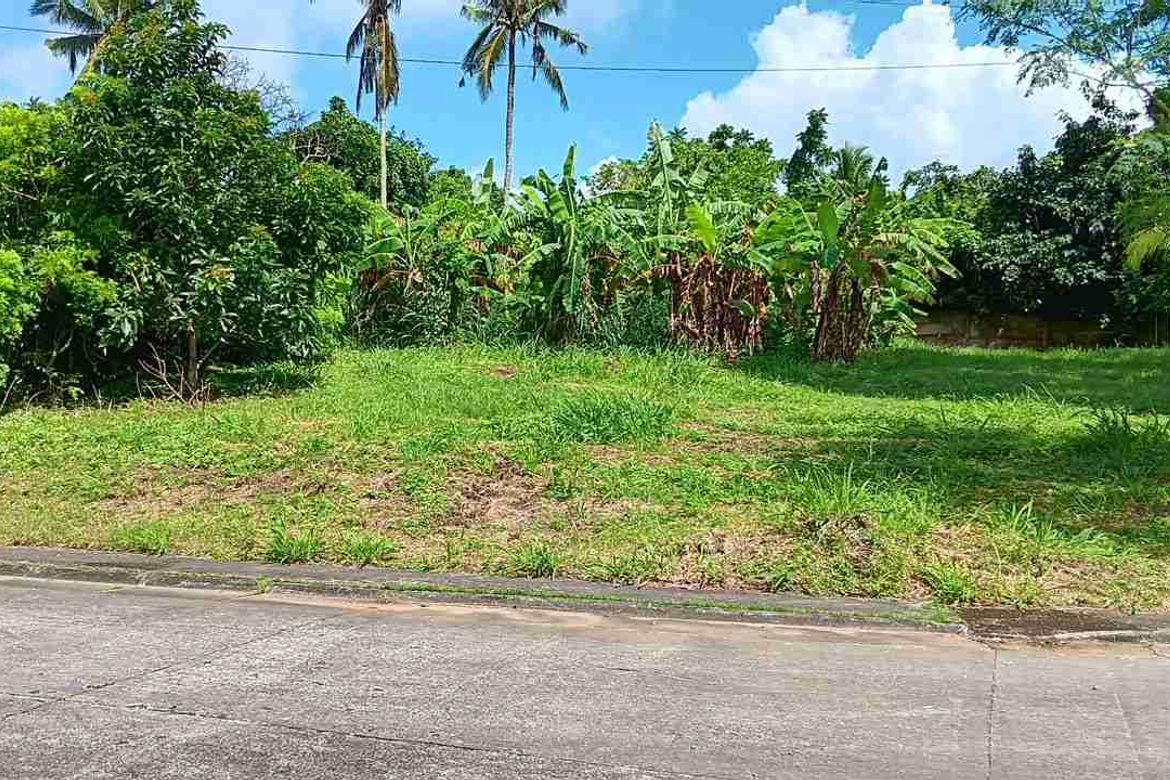 Land for Sale in Latag, Lipa, Batangas – photo 2