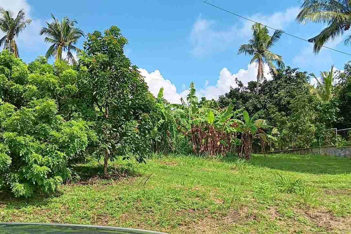 Land for Sale in Latag, Lipa, Batangas – photo 3