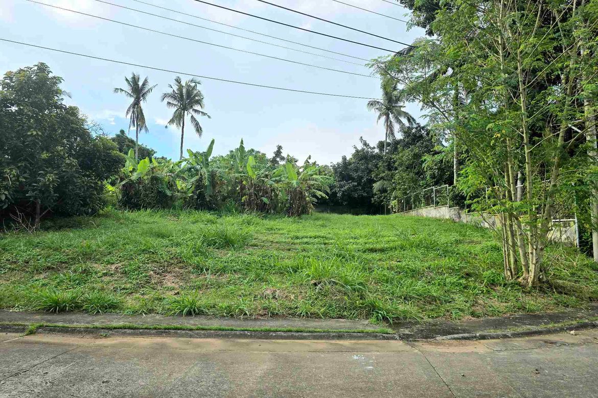 Land for Sale in Latag, Lipa, Batangas – photo 7