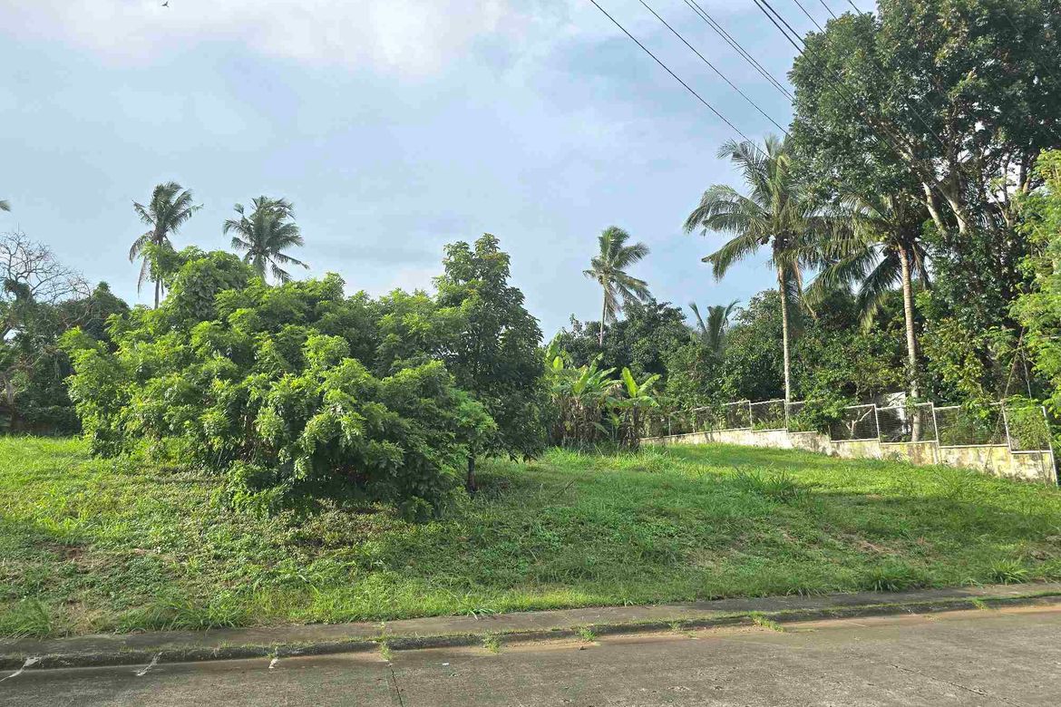 Land for Sale in Latag, Lipa, Batangas – photo 8
