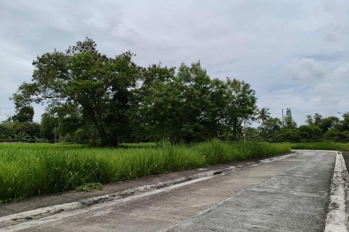 Land for Sale in Latag, Lipa, Batangas – photo 2