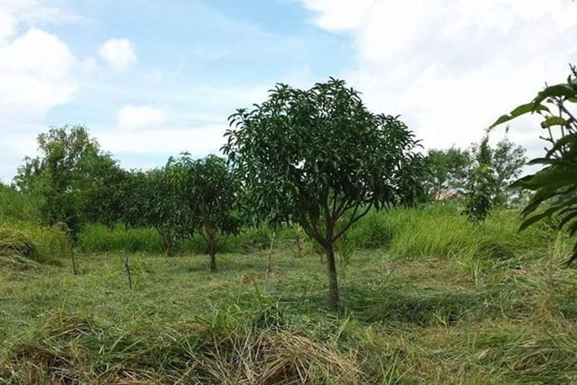 Land for Sale in Latag, Lipa, Batangas – photo 2