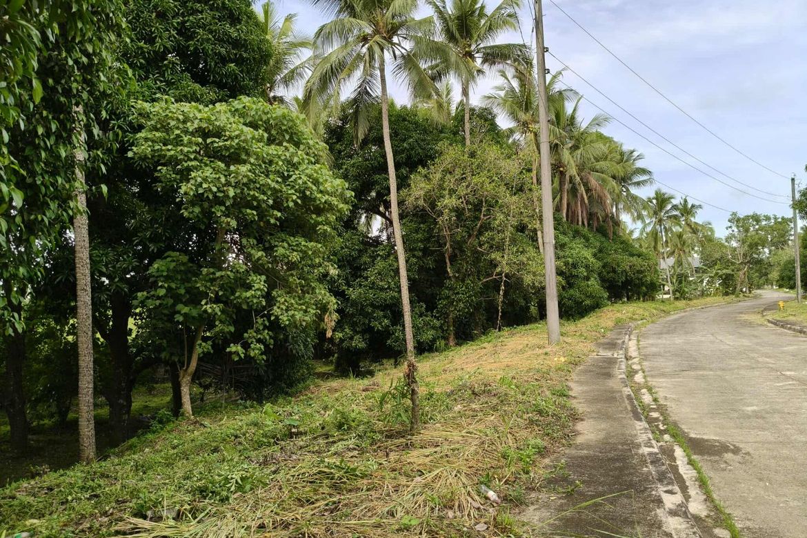 Land for Sale in Latag, Lipa, Batangas – photo 4