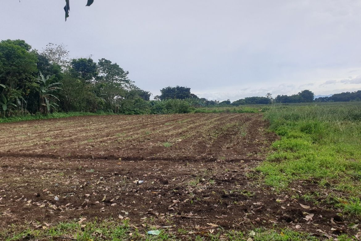 Land for Sale in Laturan, Libona, Bukidnon