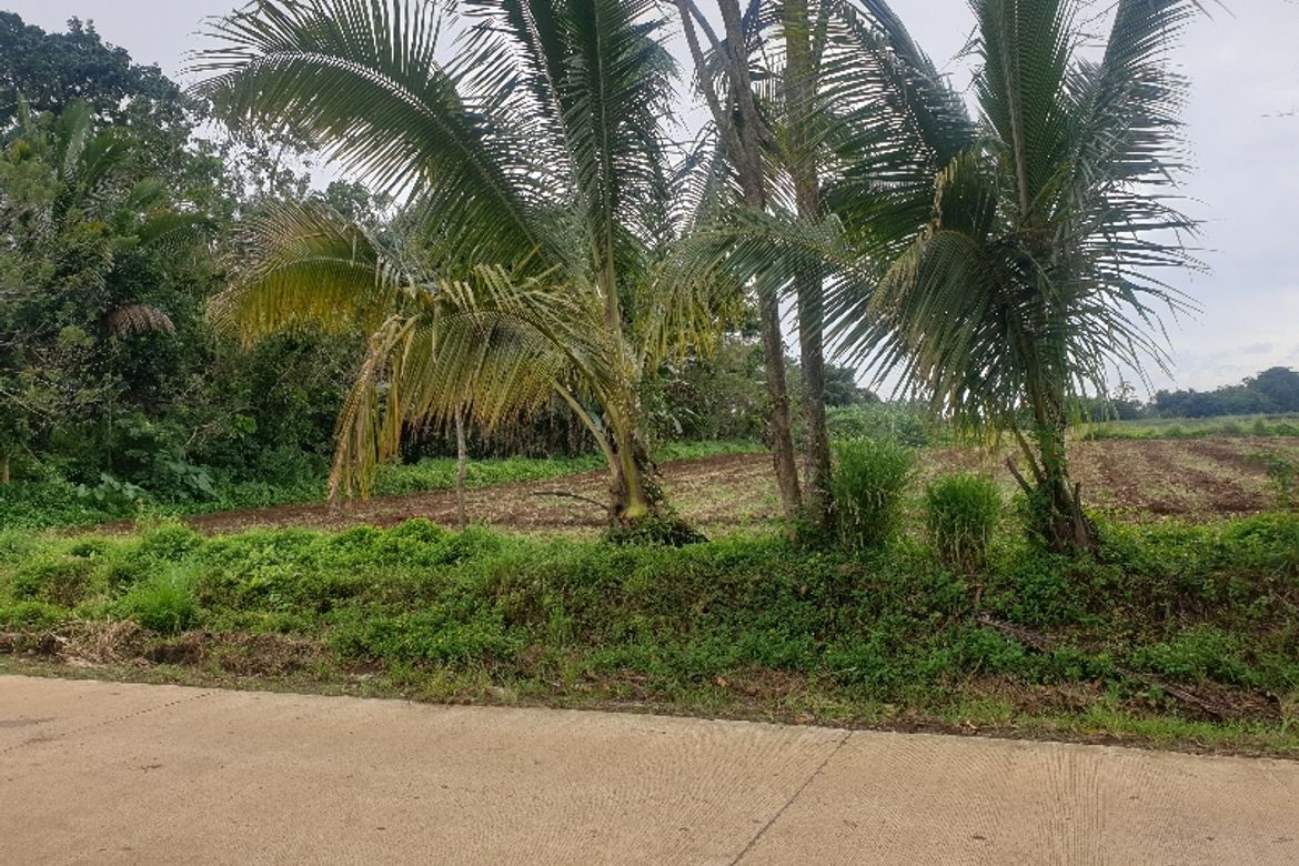 Land for Sale in Laturan, Libona, Bukidnon – photo 2