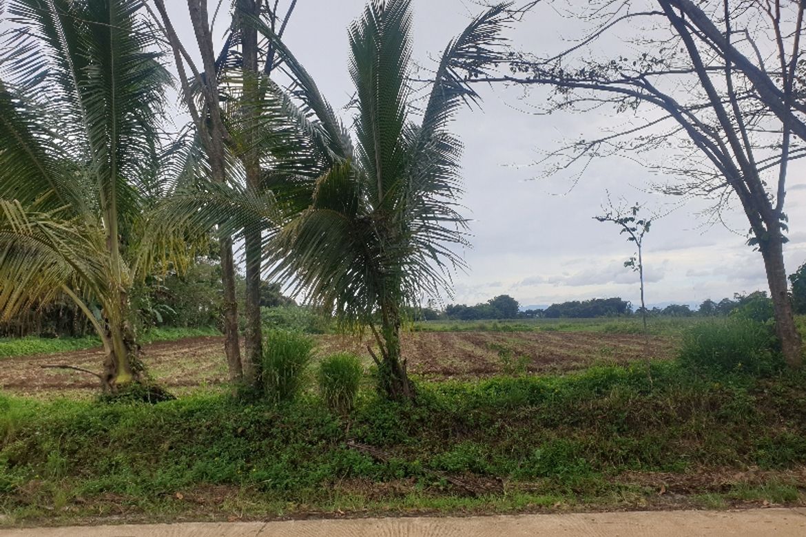Land for Sale in Laturan, Libona, Bukidnon – photo 3