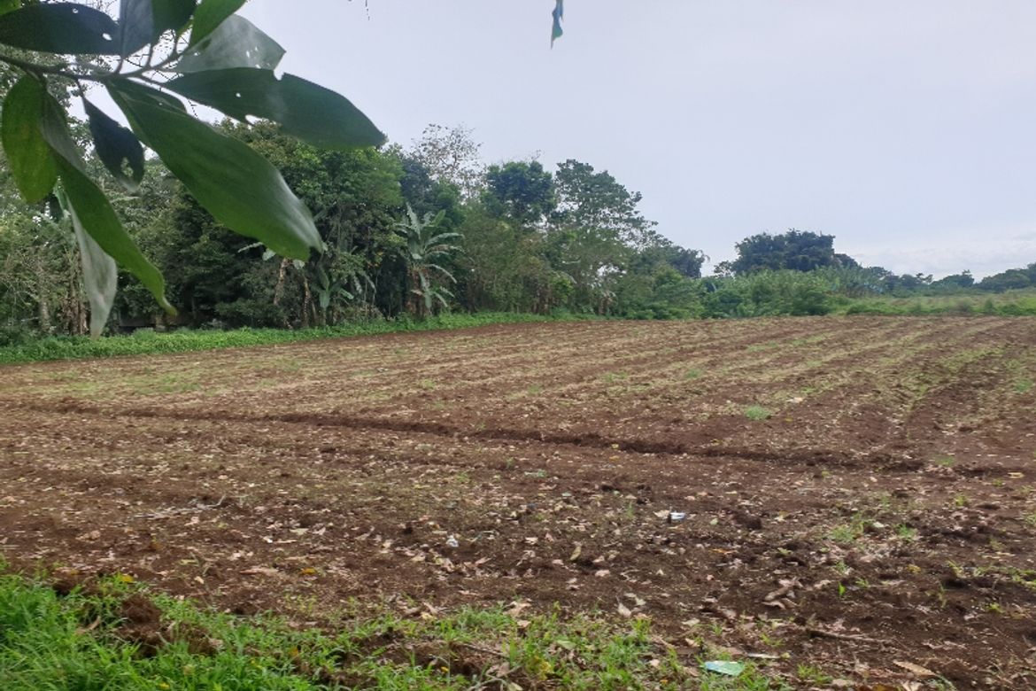 Land for Sale in Laturan, Libona, Bukidnon – photo 4