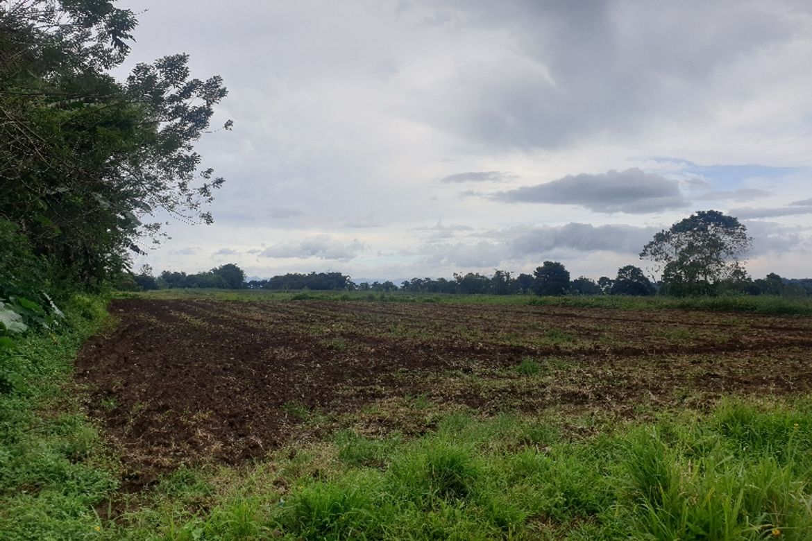 Land for Sale in Laturan, Libona, Bukidnon – photo 5