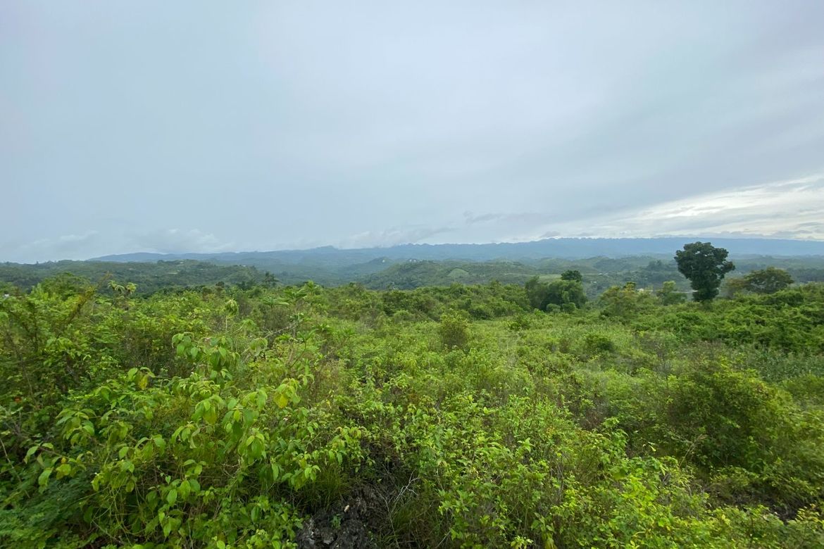 Land for Sale in Lawaan, Alcantara, Cebu – photo 5
