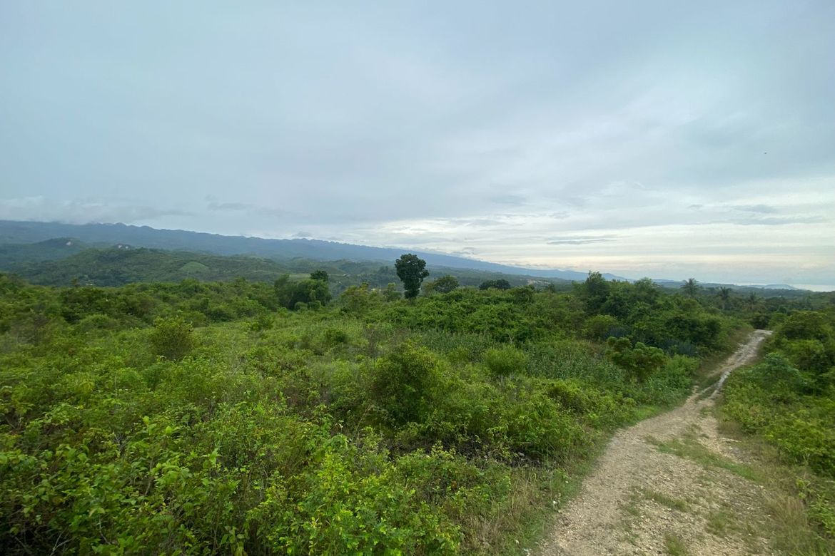 Land for Sale in Lawaan, Alcantara, Cebu – photo 6