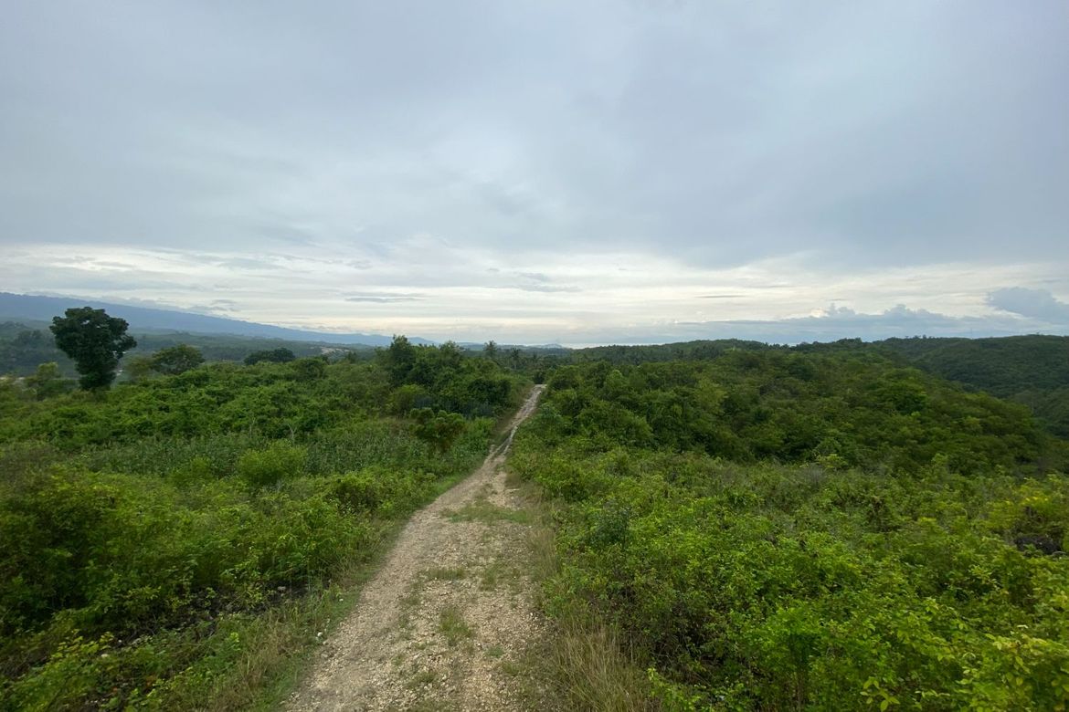 Land for Sale in Lawaan, Alcantara, Cebu – photo 7