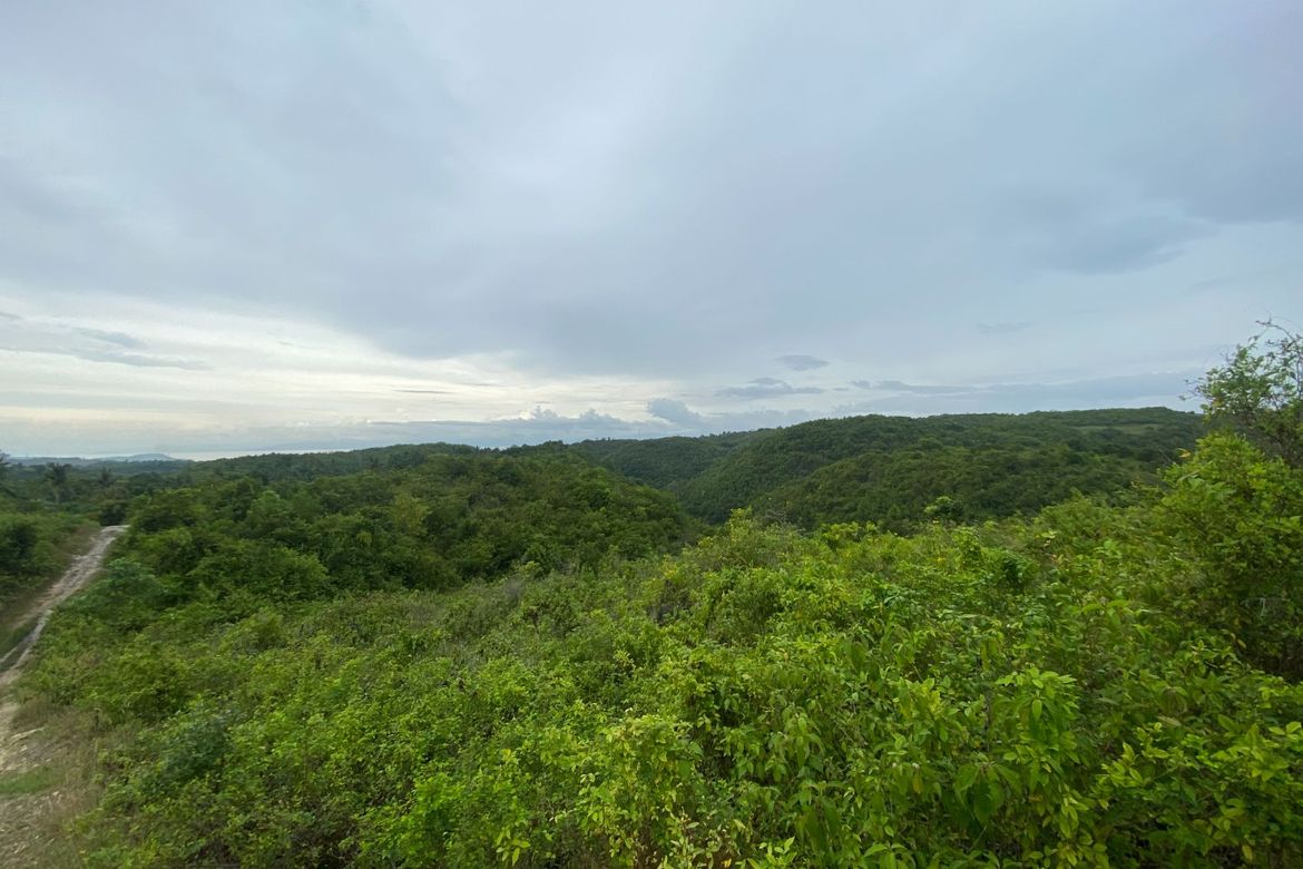 Land for Sale in Lawaan, Alcantara, Cebu – photo 8