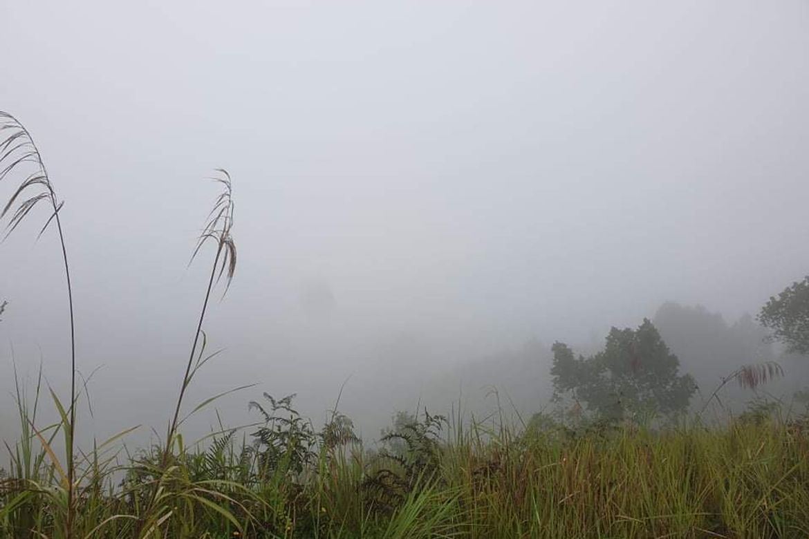 Land for Sale in Lawaan, Gingoog, Misamis Oriental – photo 4