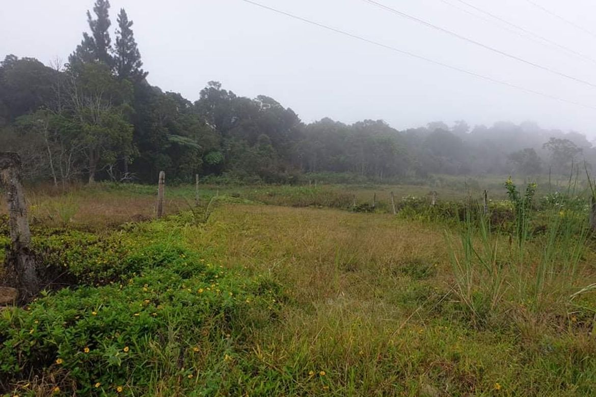 Land for Sale in Lawaan, Gingoog, Misamis Oriental – photo 5