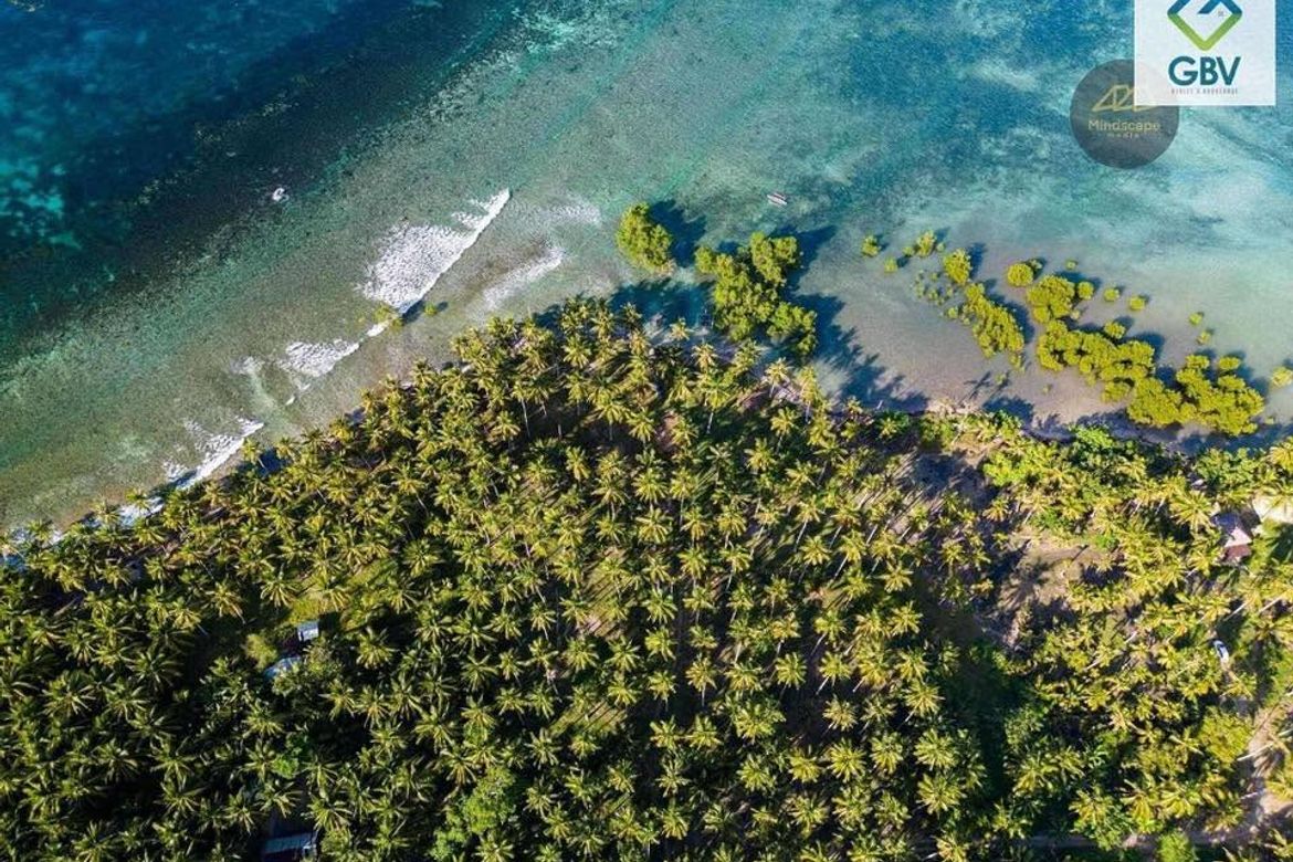 Land for Sale in Lawigan, Mati, Davao Oriental – photo 3