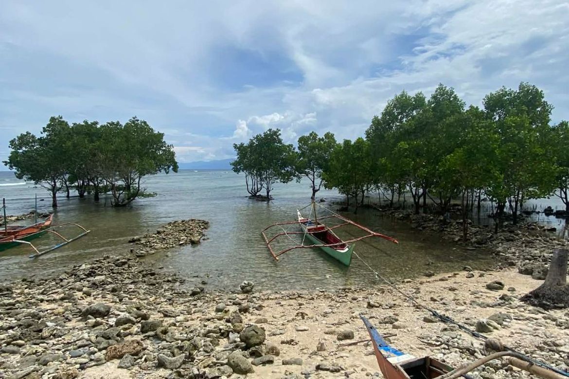 Land for Sale in Lawigan, Mati, Davao Oriental – photo 5