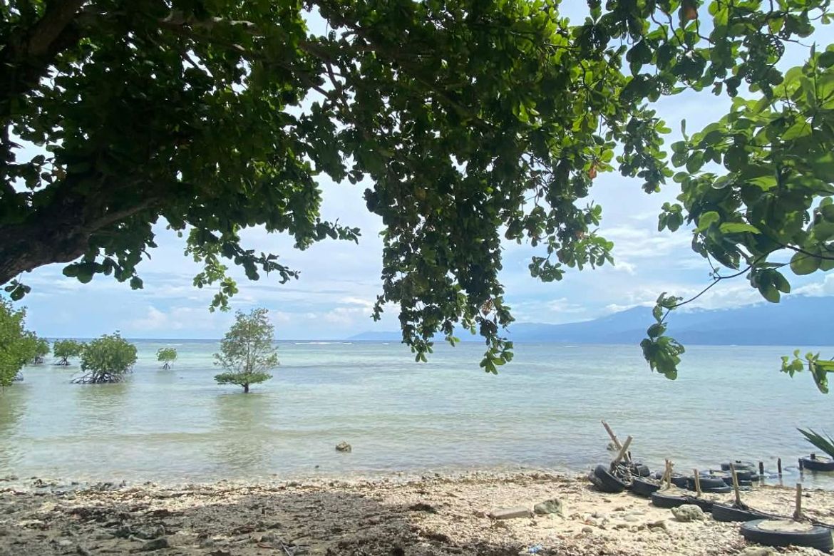 Land for Sale in Lawigan, Mati, Davao Oriental – photo 7