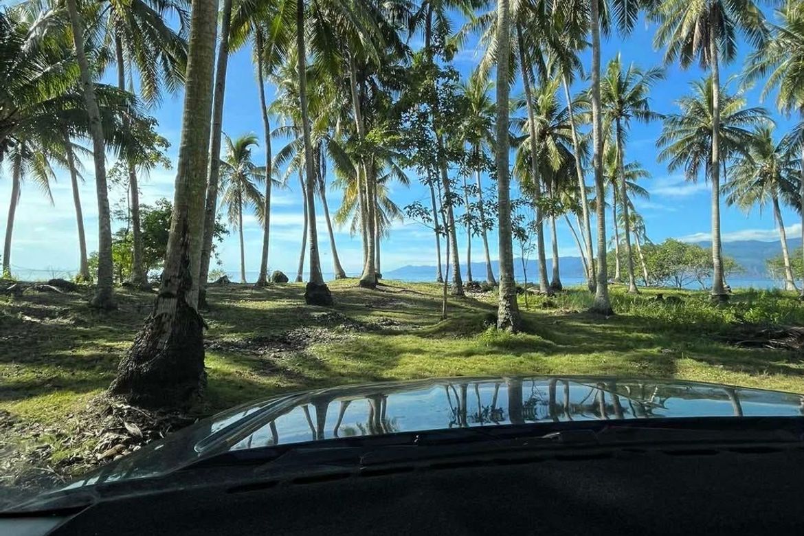 Land for Sale in Lawigan, Mati, Davao Oriental – photo 8