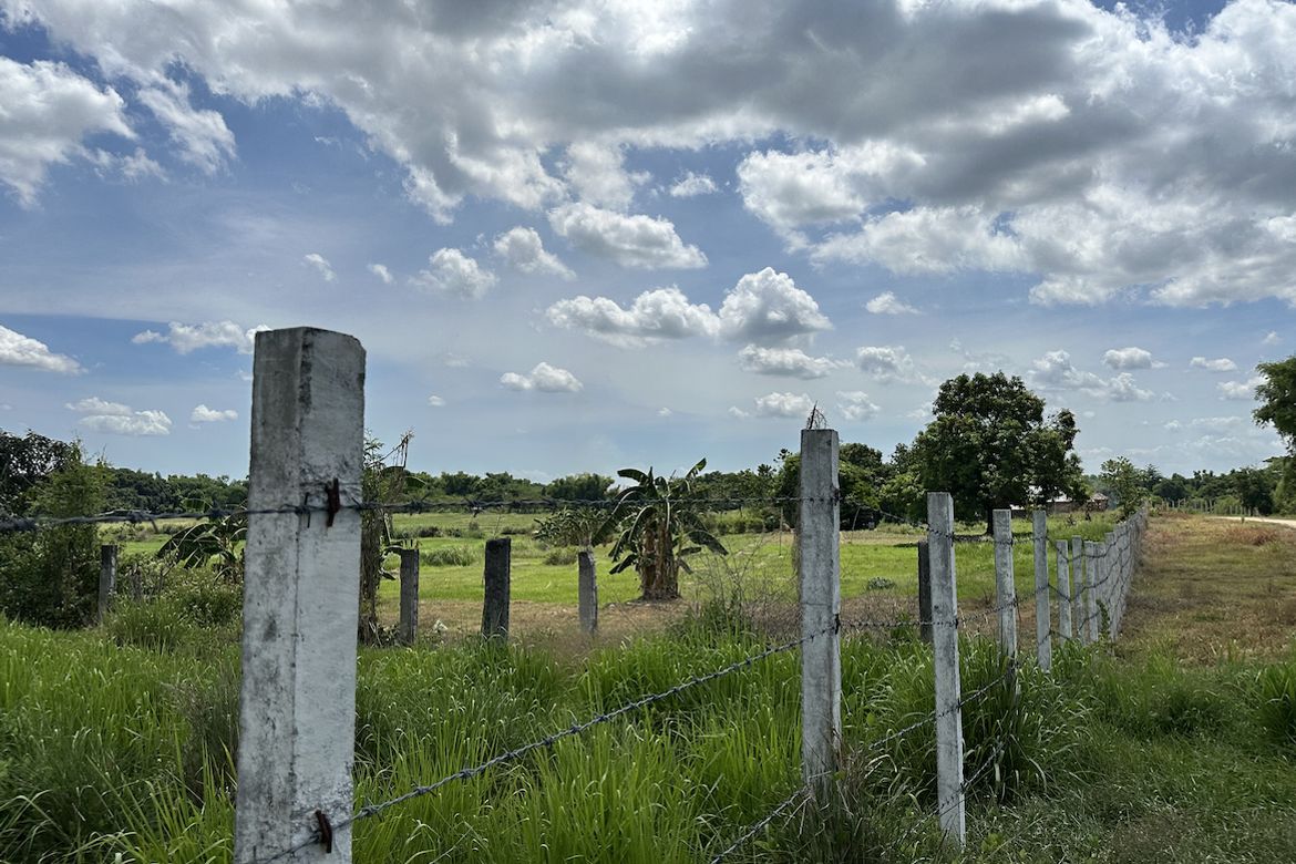 Land for Sale in Lawy, Capas, Tarlac – photo 5