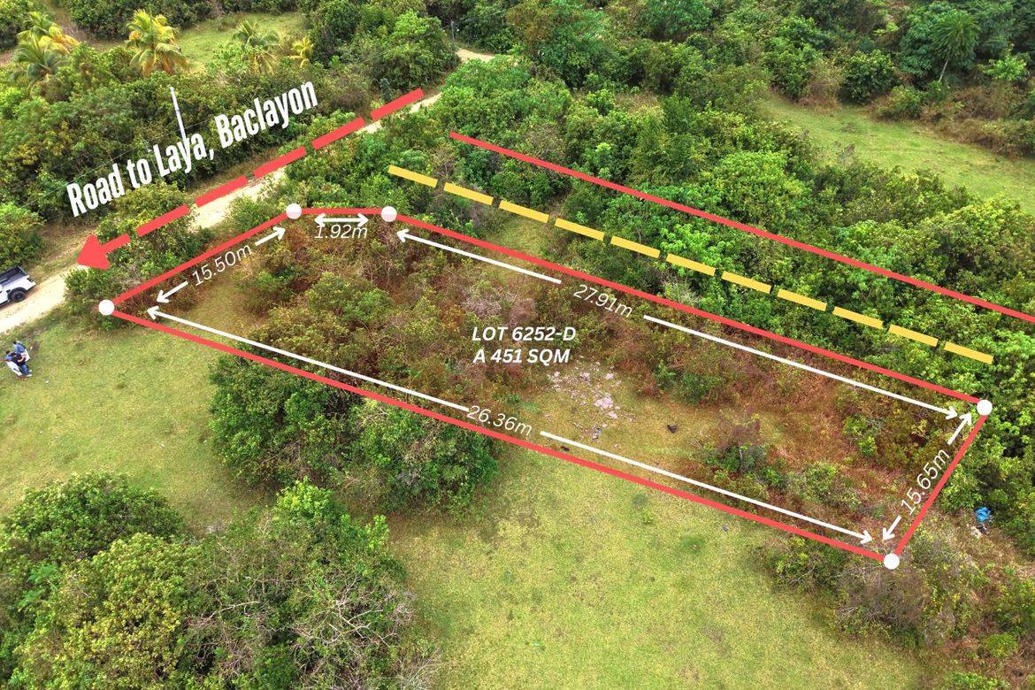 Land for Sale in Laya, Baclayon, Bohol – photo 3