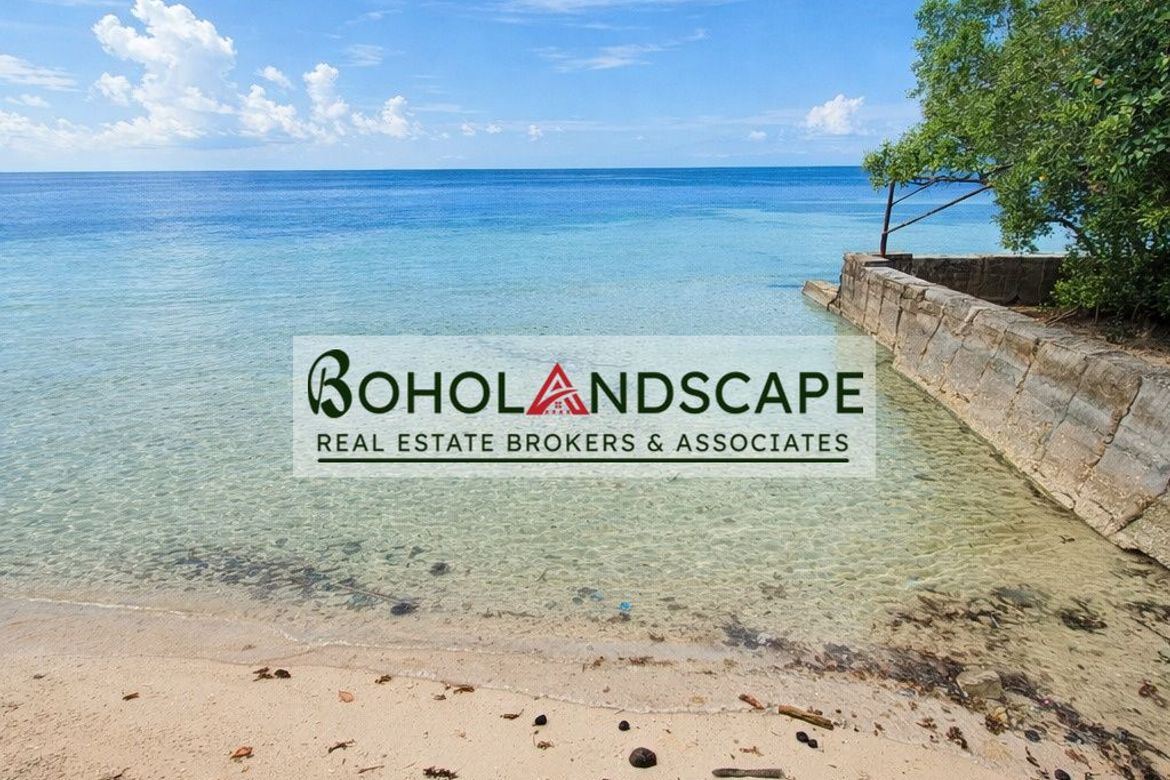 Land for Sale in Laya, Baclayon, Bohol – photo 4