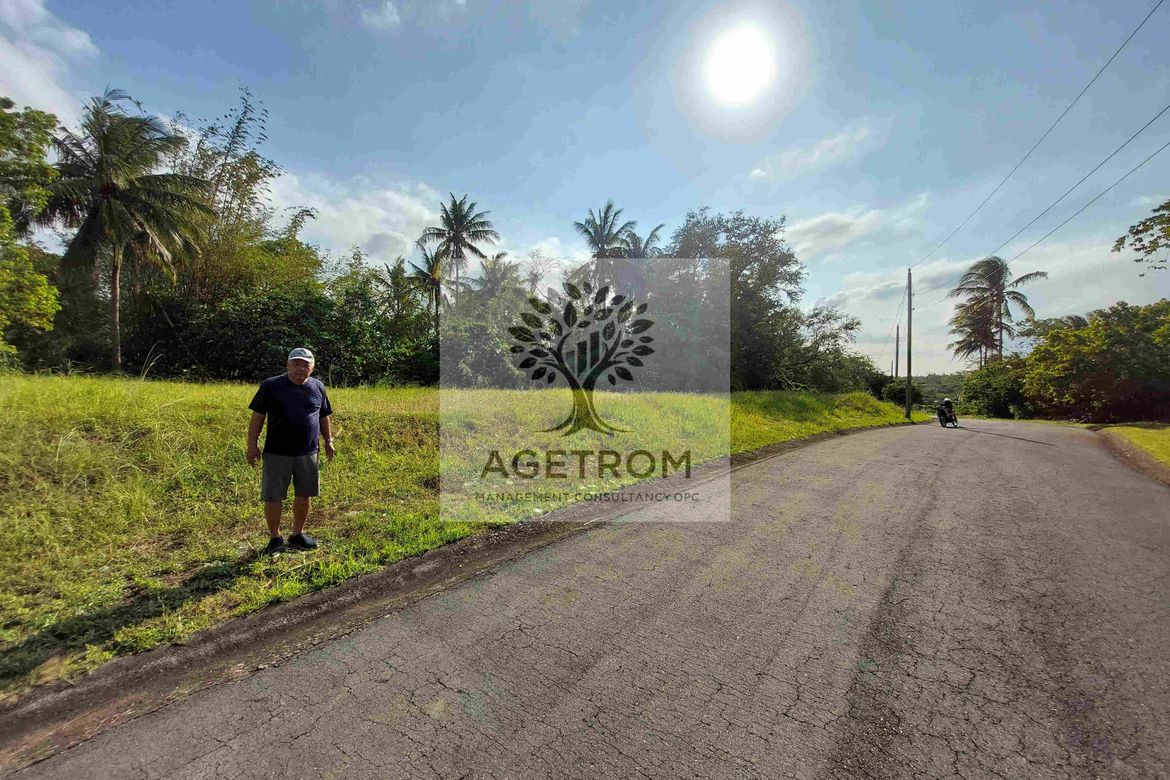 Land for Sale in Leisure Farms, Maguihan, Lemery, Batangas – photo 3