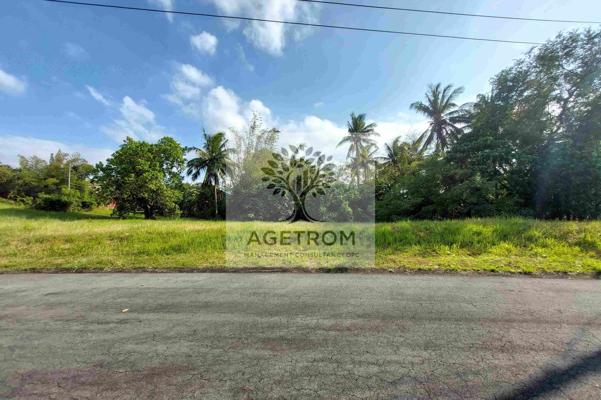 Land for Sale in Leisure Farms, Maguihan, Lemery, Batangas – photo 4