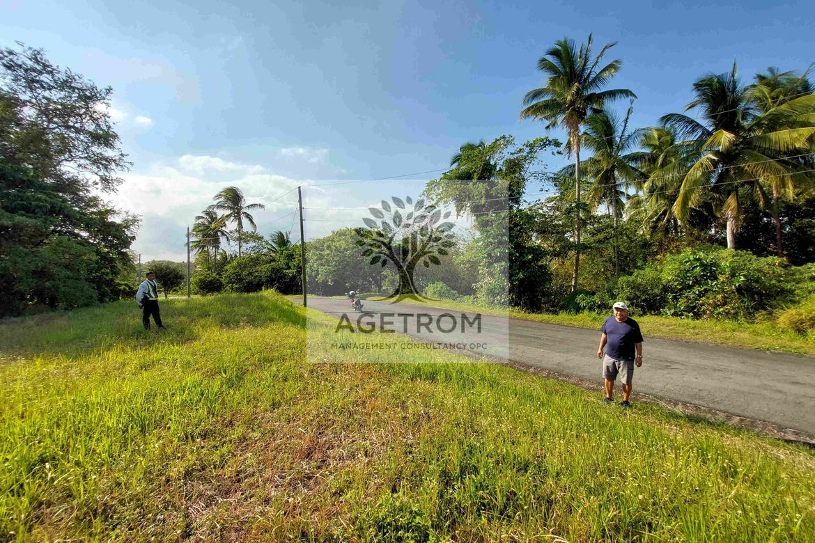 Land for Sale in Leisure Farms, Maguihan, Lemery, Batangas – photo 5