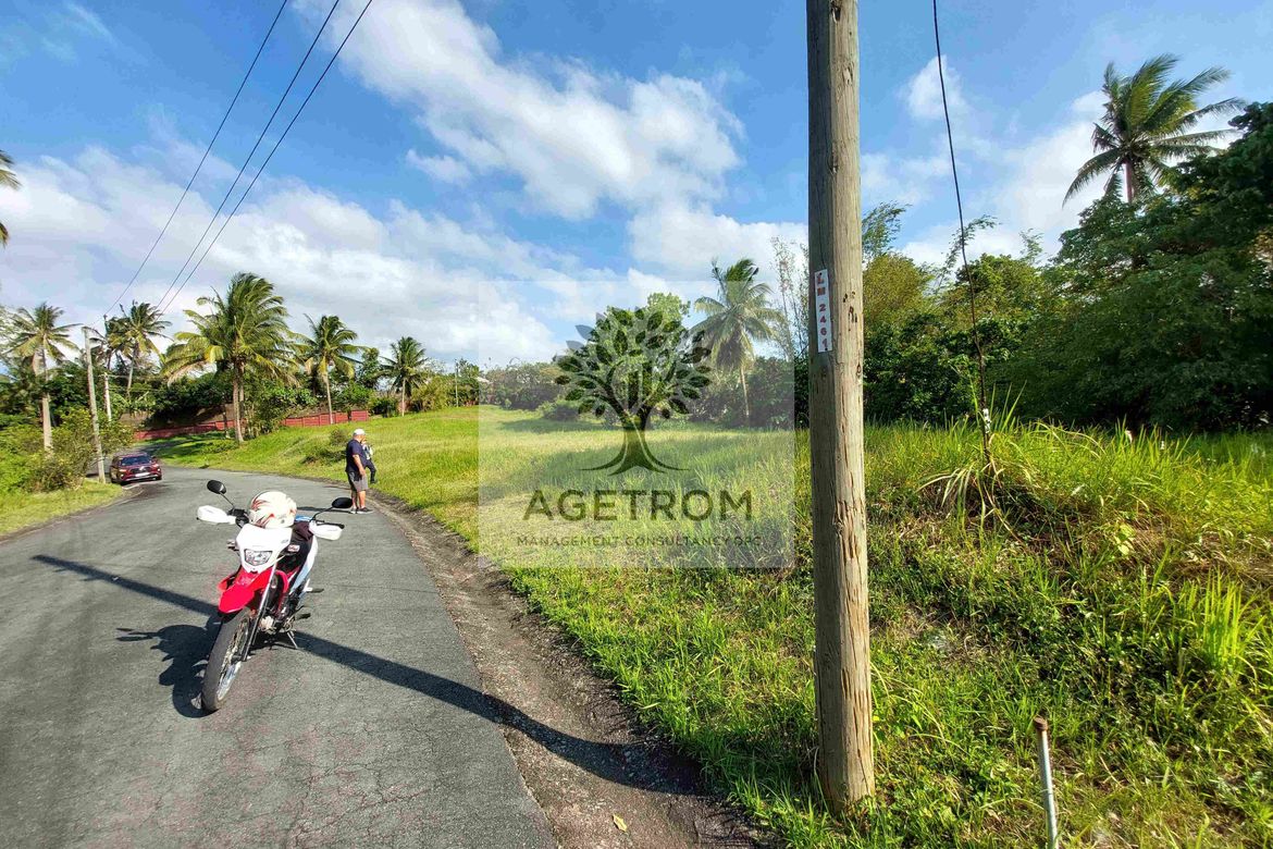 Land for Sale in Leisure Farms, Maguihan, Lemery, Batangas – photo 6