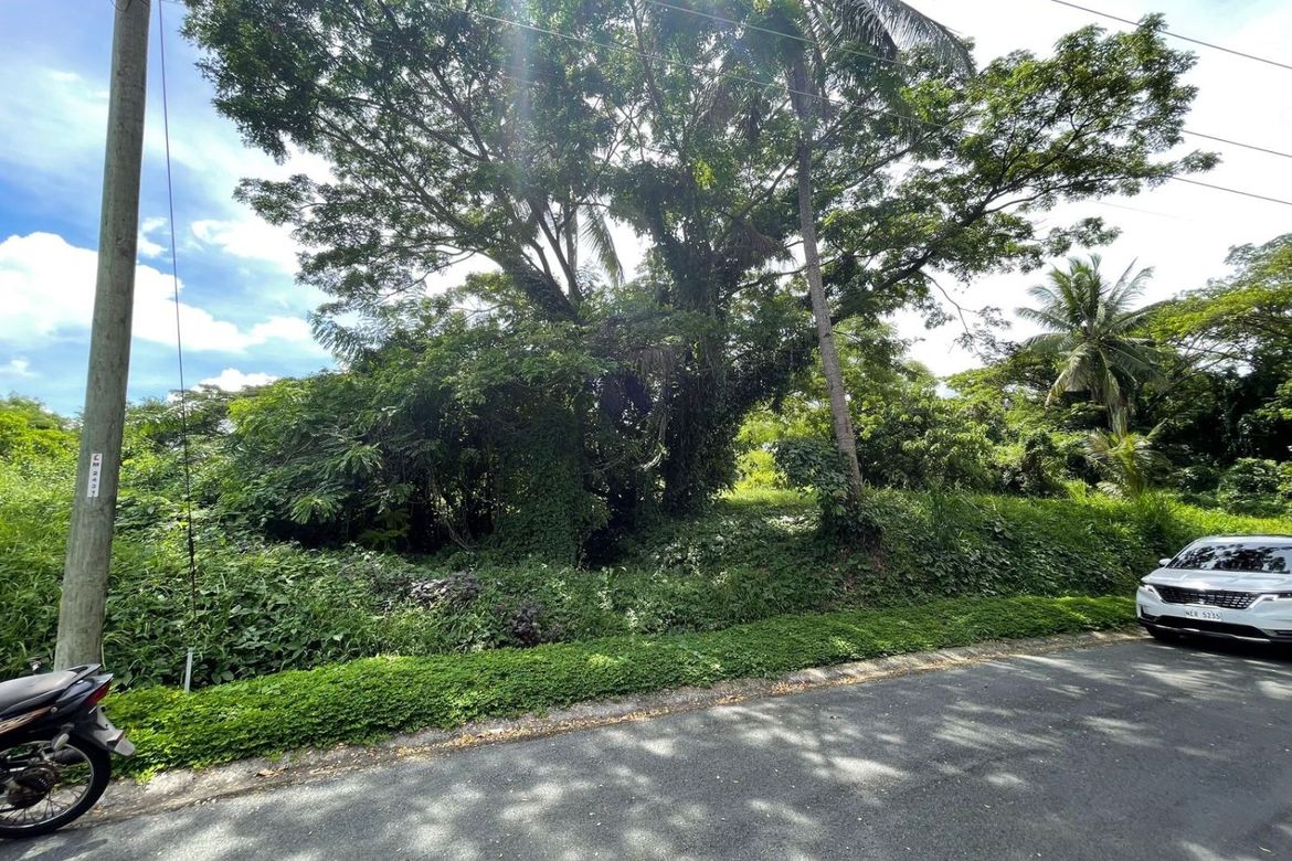 Land for Sale in Leisure Farms, Maguihan, Lemery, Batangas – photo 5