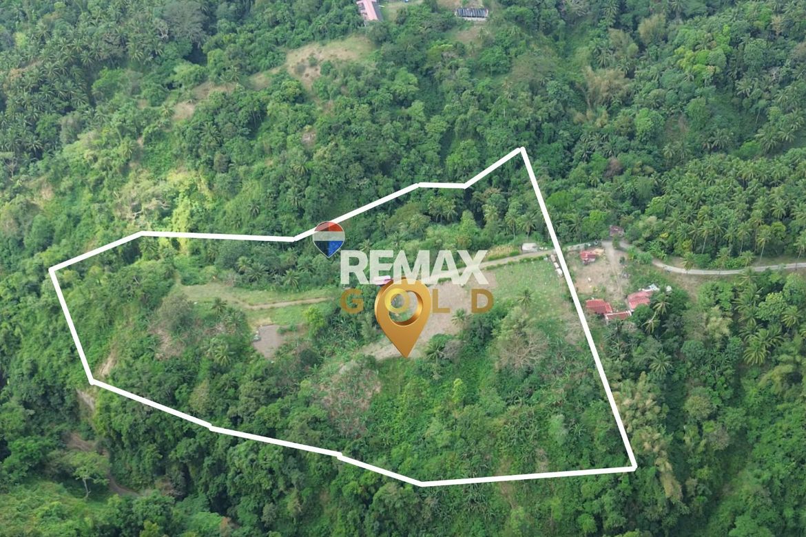 Land for Sale in Lemery, Batangas – photo 3