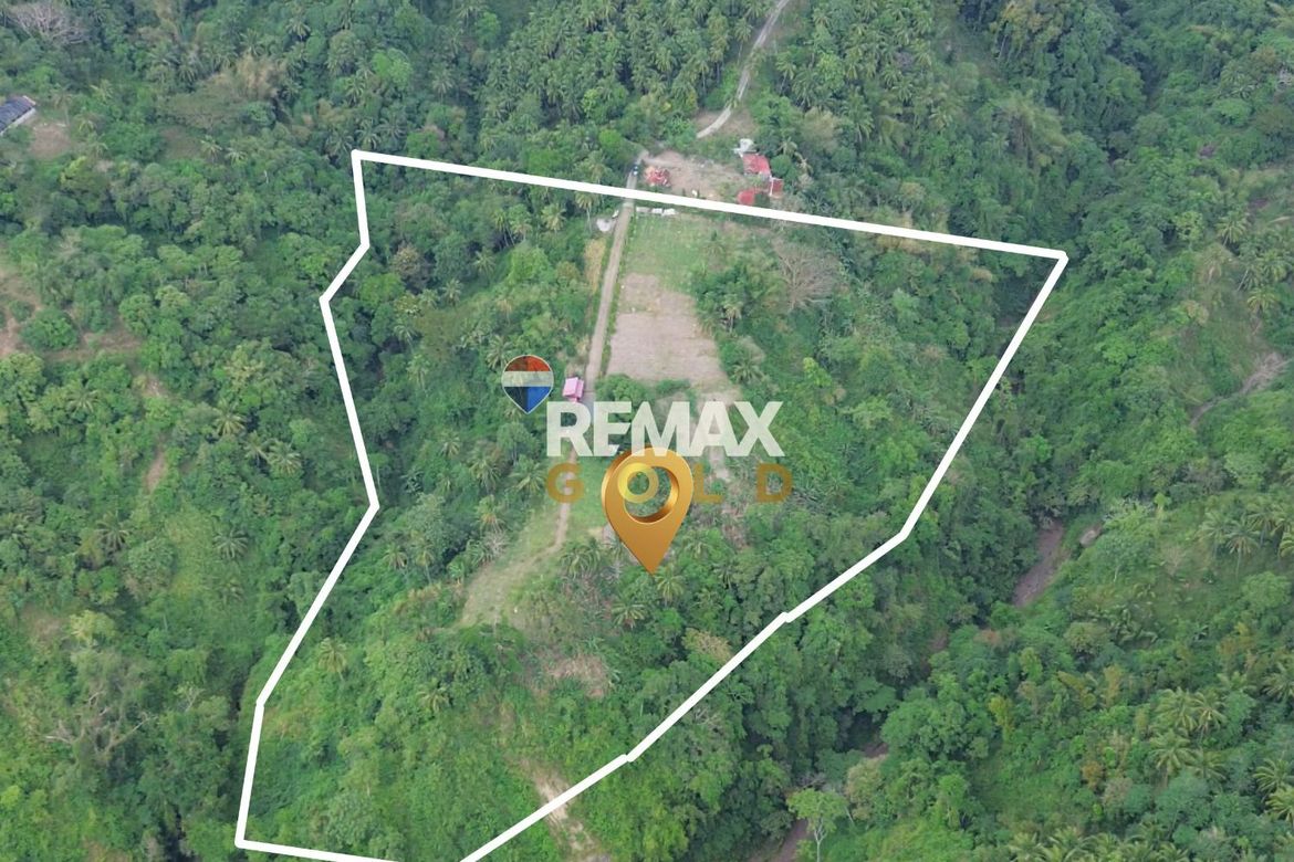 Land for Sale in Lemery, Batangas – photo 4