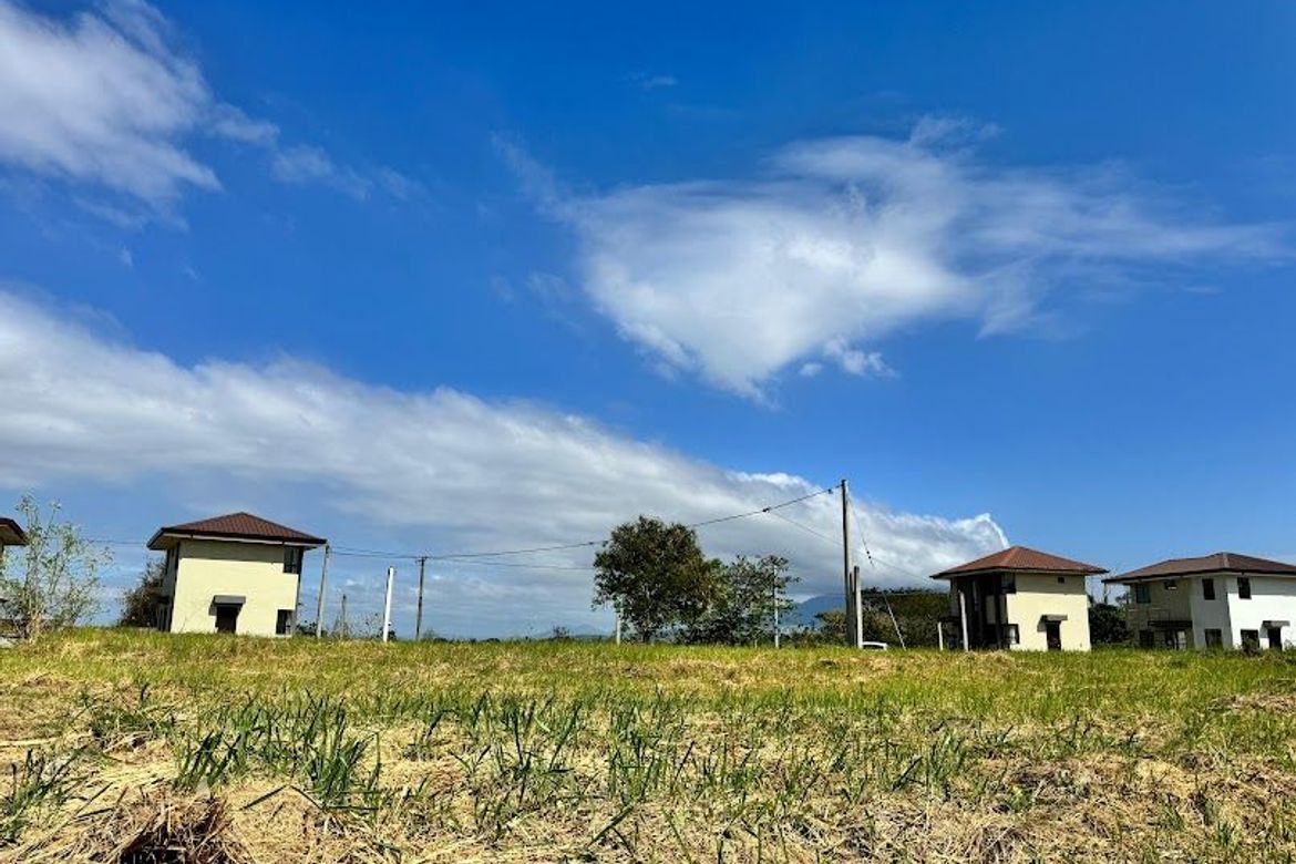 Land for Sale in Lewin, Lumban, Laguna
