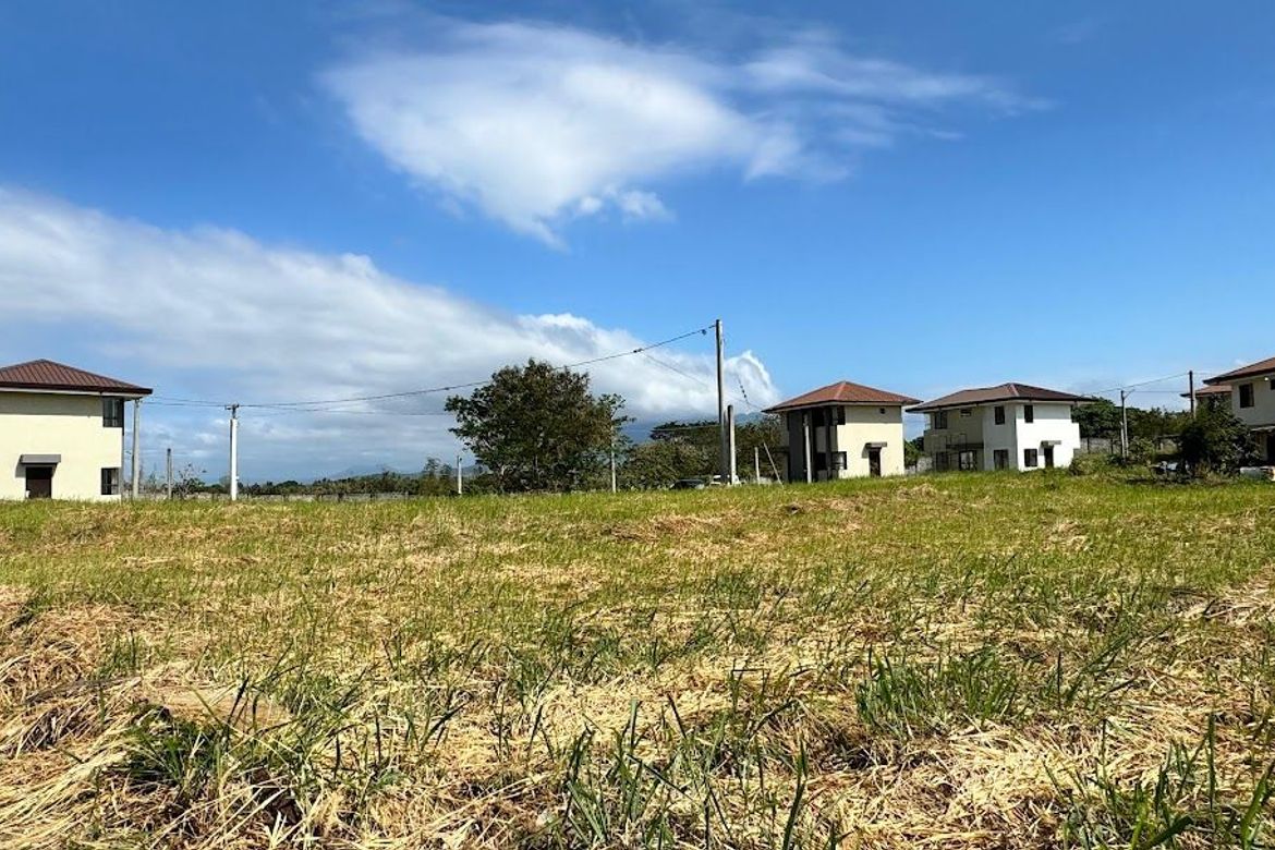 Land for Sale in Lewin, Lumban, Laguna – photo 4