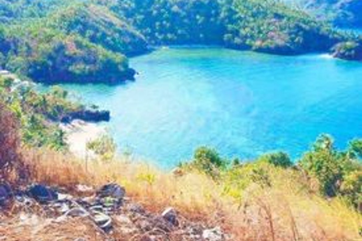 Land for Sale in Li-O, Romblon, Romblon