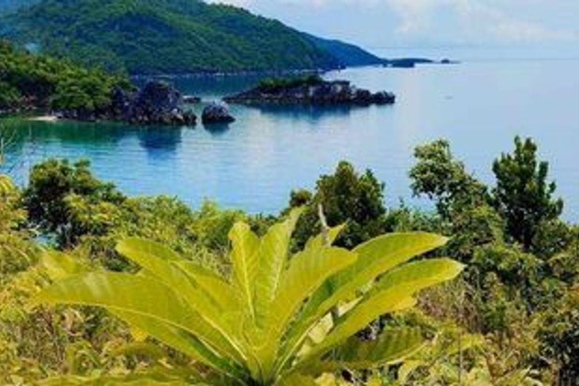 Land for Sale in Li-O, Romblon, Romblon – photo 3