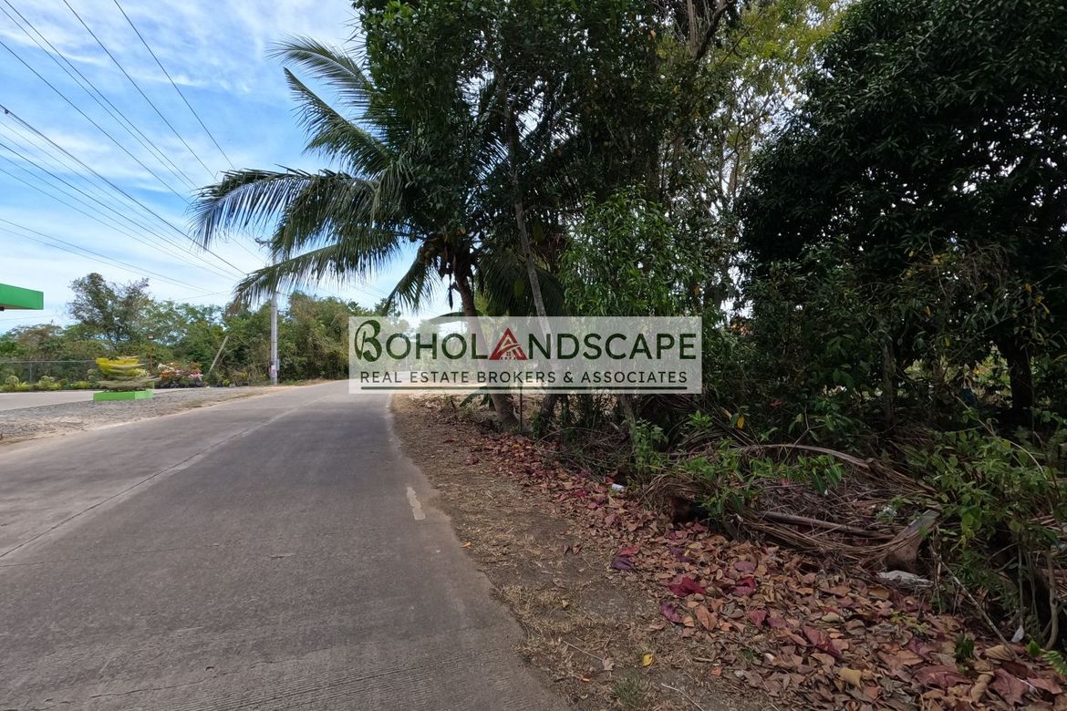 Land for Sale in Libaong, Panglao, Bohol – photo 4