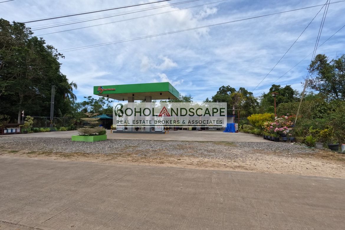 Land for Sale in Libaong, Panglao, Bohol – photo 7