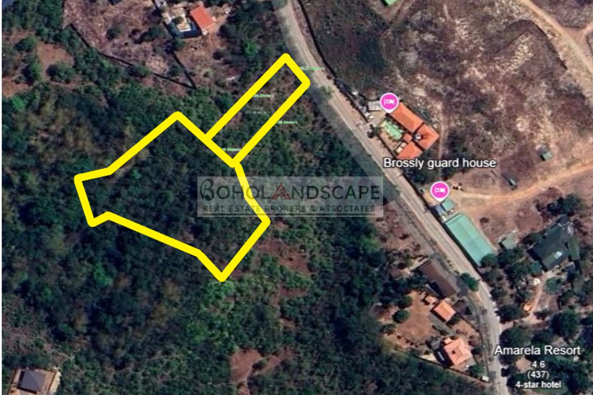 Land for Sale in Libaong, Panglao, Bohol – photo 3