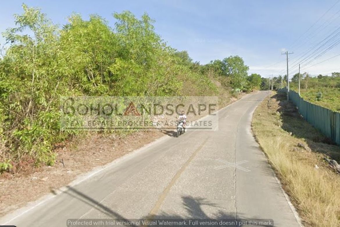 Land for Sale in Libaong, Panglao, Bohol – photo 4