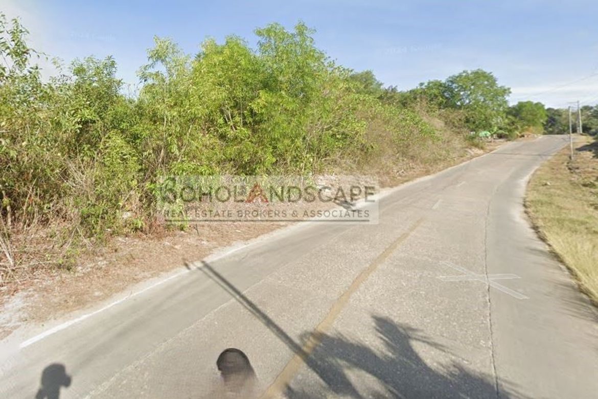 Land for Sale in Libaong, Panglao, Bohol – photo 6