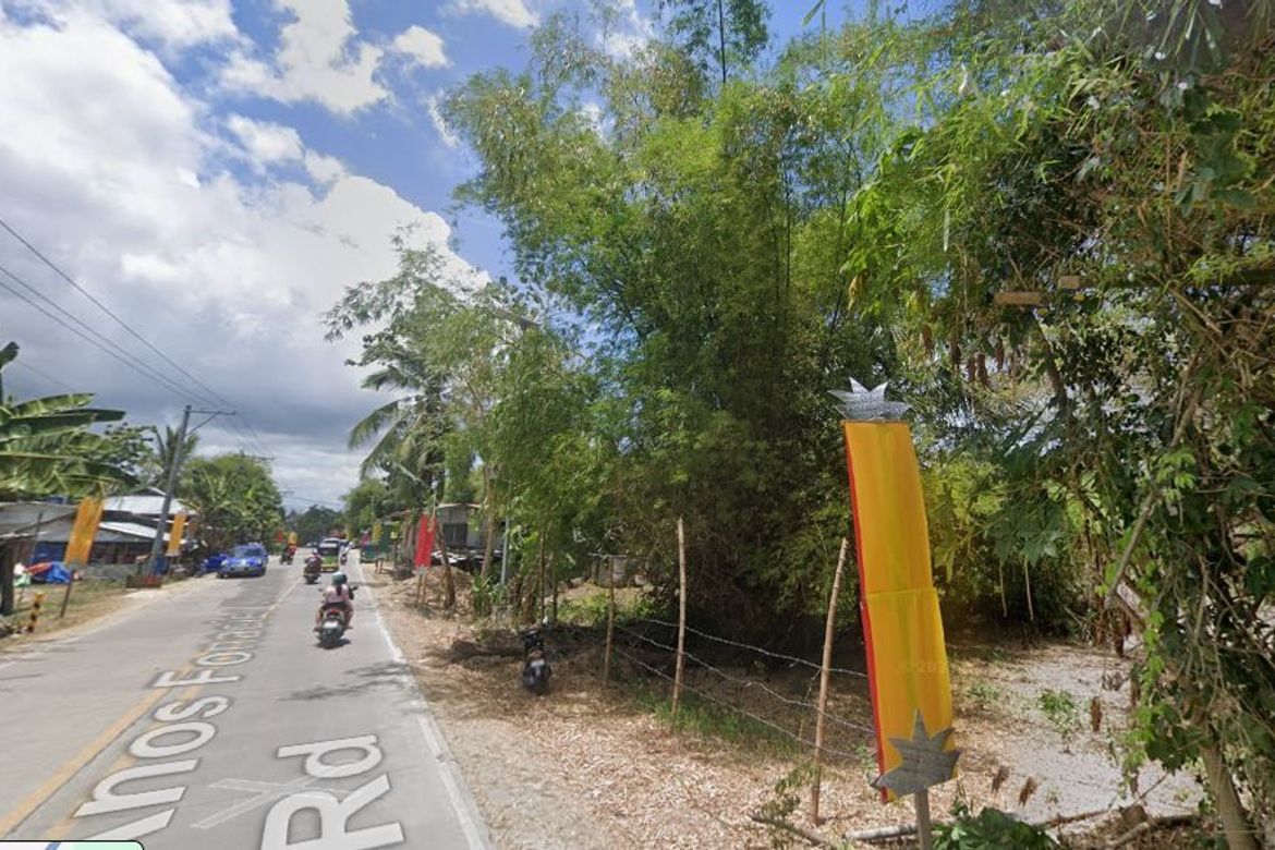 Land for Sale in Libaong, Panglao, Bohol