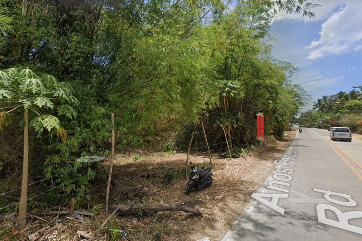 Land for Sale in Libaong, Panglao, Bohol – photo 3