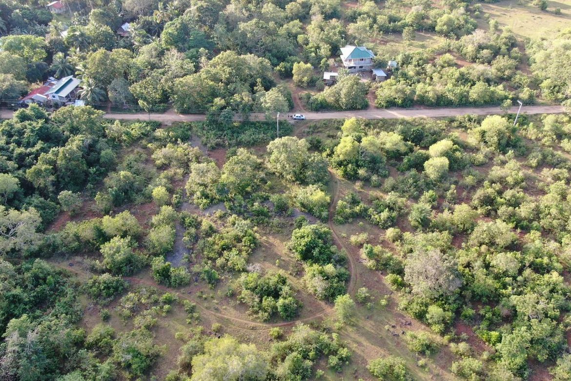 Land for Sale in Libaong, Panglao, Bohol