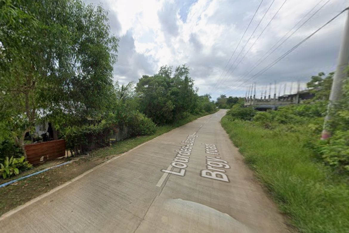 Land for Sale in Libaong, Panglao, Bohol – photo 3