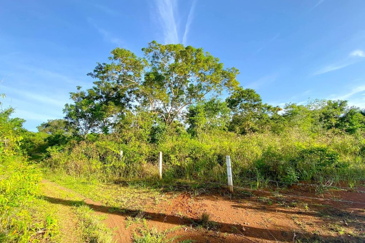 Land for Sale in Libaong, Panglao, Bohol – photo 5